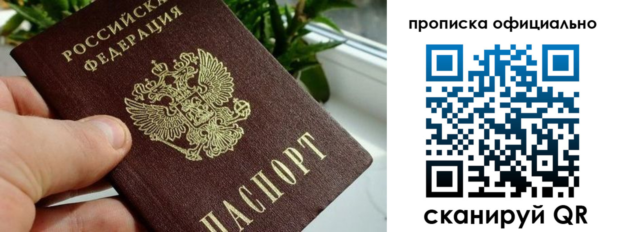 прописка поиск в Светлограде